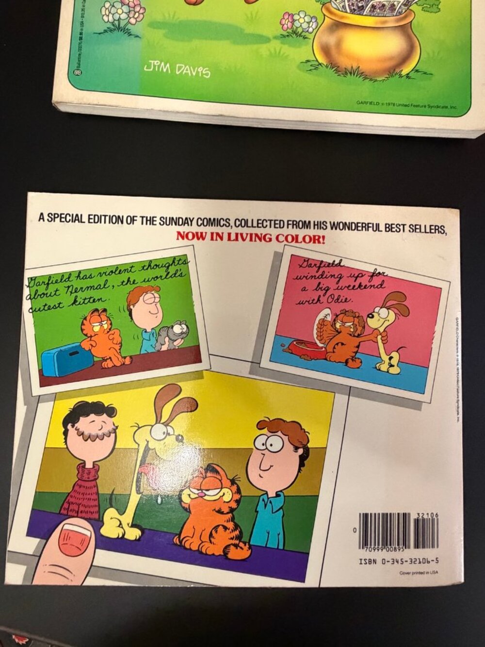 Garfield Treasury 2-Book Set